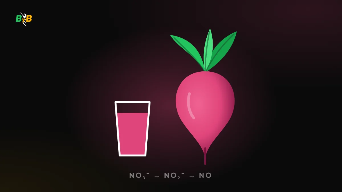 Ilustración de una remolacha y un vaso de zumo de remolacha, fuente de nitratos para deportistas de resistencia